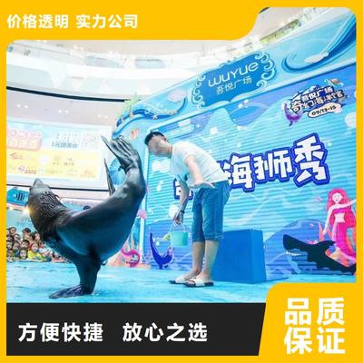 南安市分公司 專業出租表演鸚鵡，打造難忘動物展覽體驗